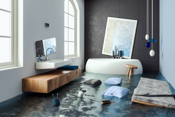 Best Water damage restoration near me  in Moyie Springs, ID