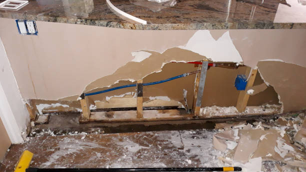 Best Local water damage restoration  in Moyie Springs, ID