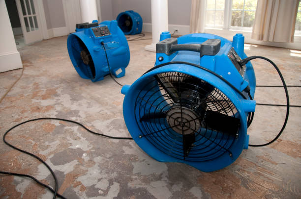 Best Water damage cleanup near me  in Moyie Springs, ID
