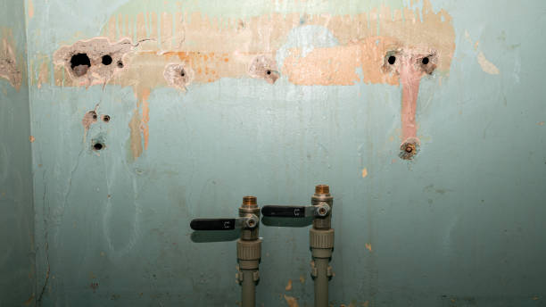 Best Flood damage cleanup  in Moyie Springs, ID