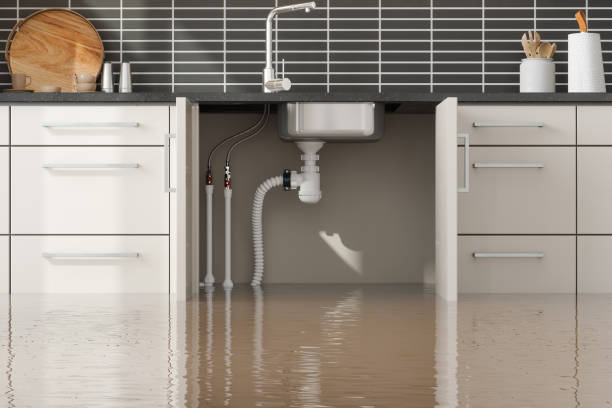 Best Basement water damage restoration  in Moyie Springs, ID